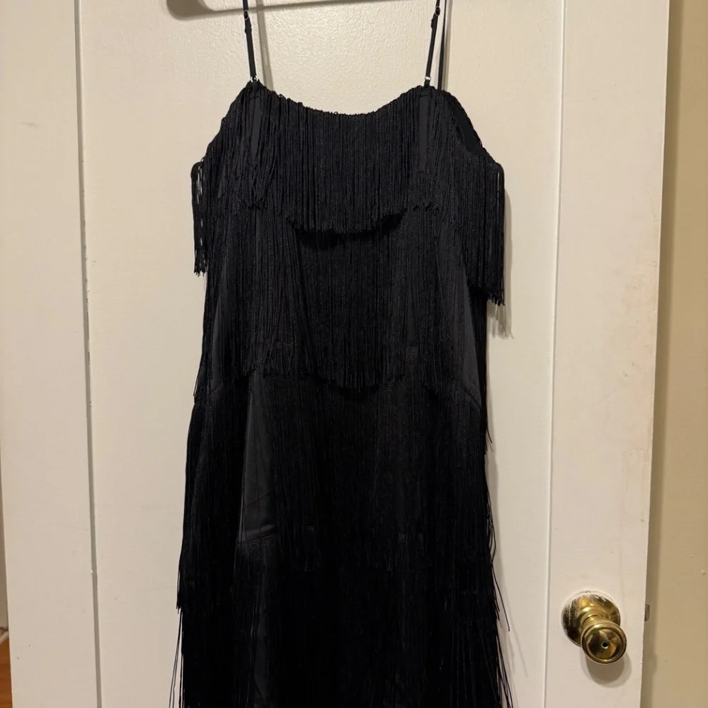 Abercrombie & Fitch Fringe Dress - Picture 2 of 3